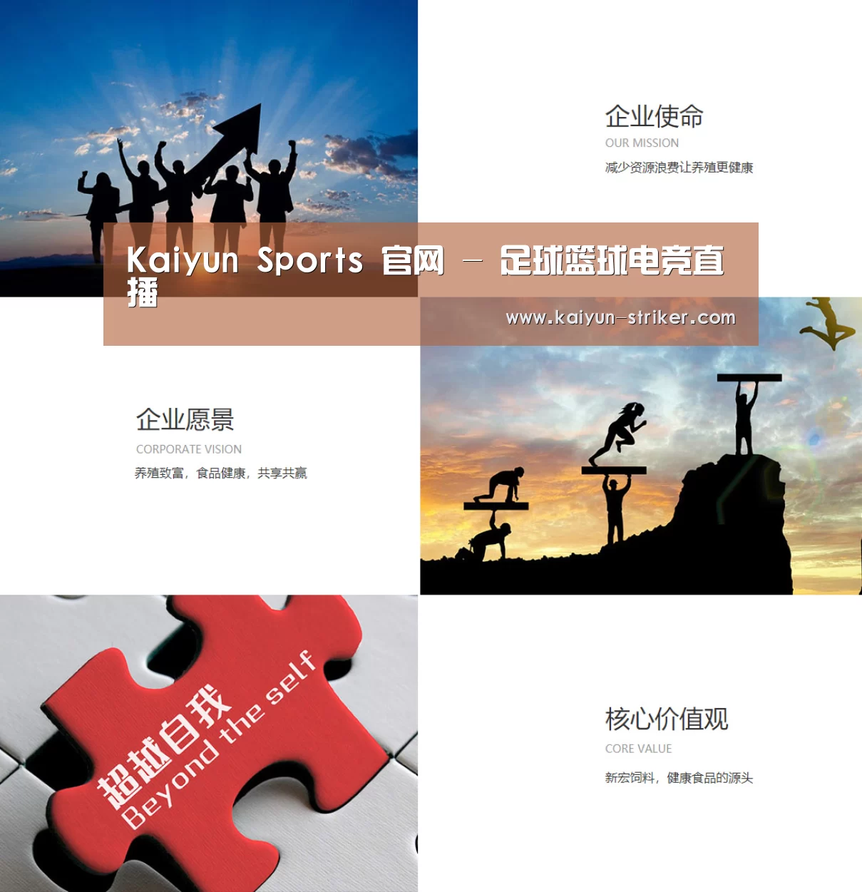 企业文化(图1)